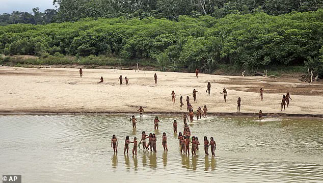 Lax Regulations Allow Contact Threatening Amazon Tribes' Survival