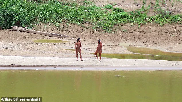 Lax Regulations Allow Contact Threatening Amazon Tribes' Survival