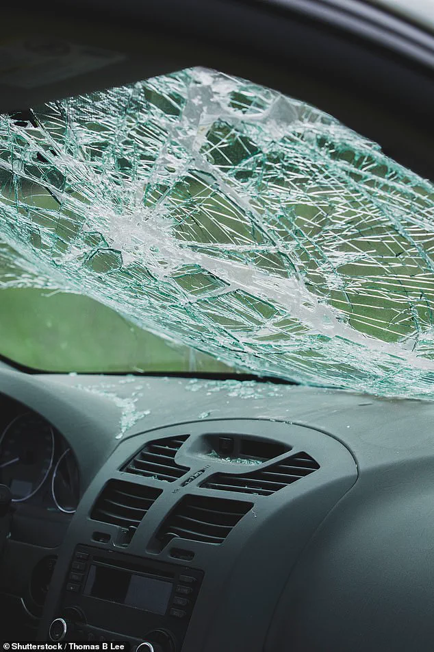 A Father's Tragedy: The 1997 Crash That Changed Jeffery Olsen's Life and His Journey to Survival