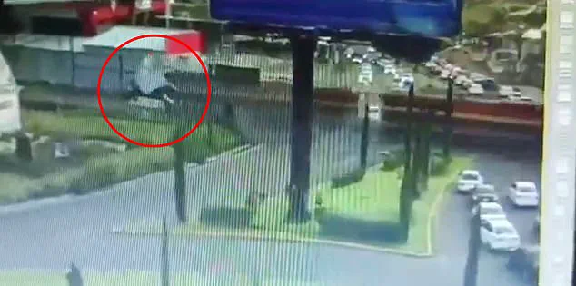 Government Agencies Mobilize in Response to Train Crash in Mexico, Eight Dead and 45 Injured