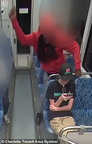 Iryna Zarutska, Ukrainian Refugee, Killed in Brutal Attack by DeCarlos Brown Jr. on Charlotte Light Rail