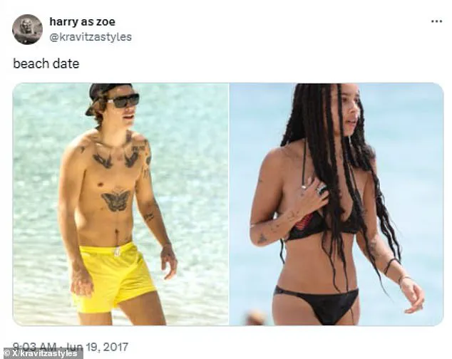 Privileged Glimpse: The Dormant Account That Predicted Harry Styles and Zoe Kravitz's Romance