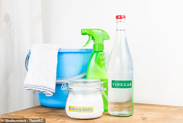 As Autumn's Rain Falls, Homeowners Face a New Crisis: Clogged Drains