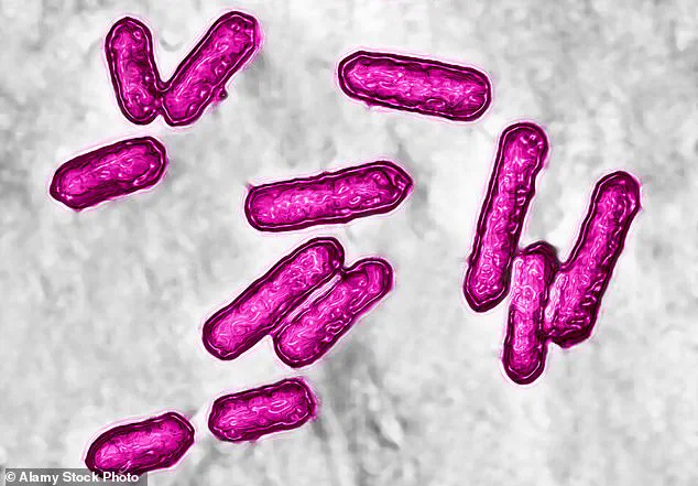 FDA Issues Sweeping Recall of Cantaloupe Products Over Listeria Contamination Risk, Advises Public Health Precautions