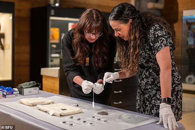 From Thrift Store to Treasure Trove: Ancient Artifacts Spark Academic Frenzy After Near-Disposal