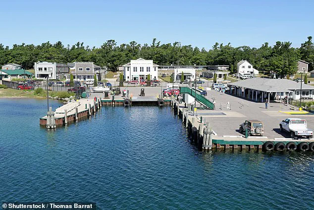 Overpopulation of White-Tailed Deer Threatens Beaver Island's Ecosystem