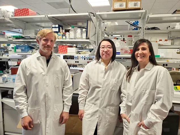 Washington State Researchers Advance Understanding of SYNGAP1-Related Disorders in Autism and Epilepsy