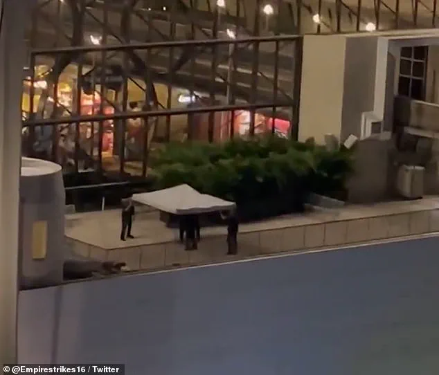 Tragic Death of Disney Superfan Summer Equitz Leaves Questions Unanswered