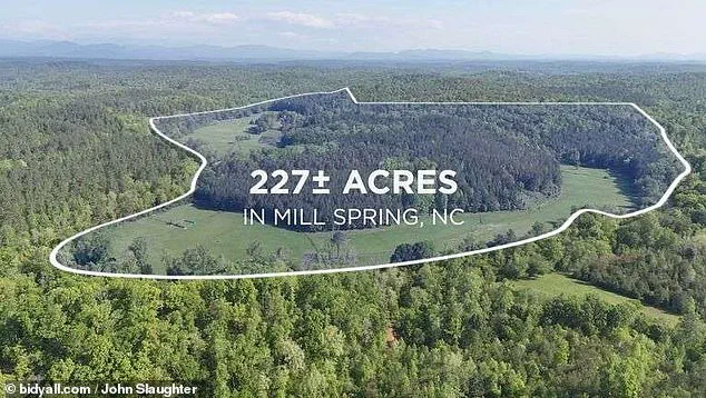 Exclusive 911 Transcripts and Polk County Records Reveal Tragic Details of LendingTree Founder's Fatal ATV Accident