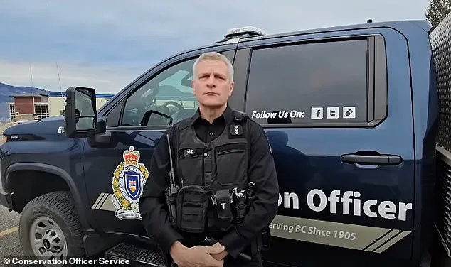 Violent Grizzly Bear Encounter at Canadian Elementary School Leaves 11 Injured, Raises Public Safety Concerns