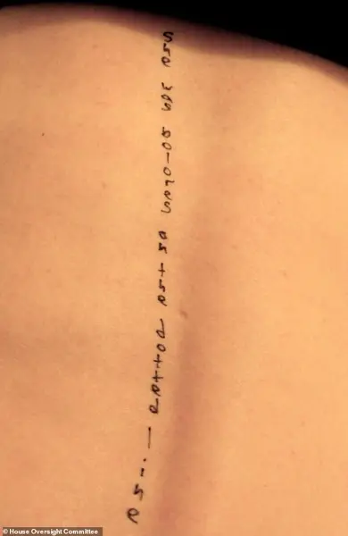 New Epstein Files Ignite Debate on Accountability and Trauma Risks for Survivors