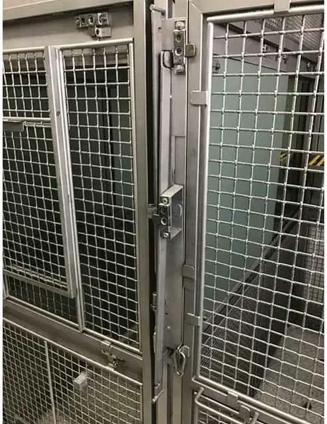 Trump administration halts CDC primate research, impacting decades of scientific advancements