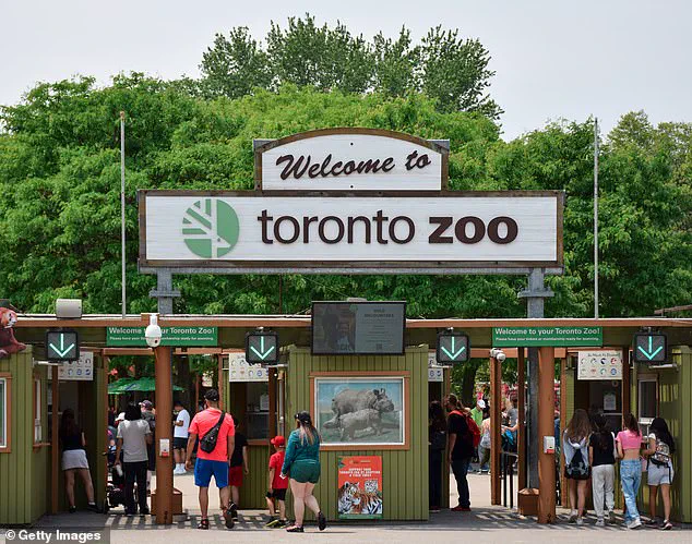 Exclusive Access: Toronto Zoo's Investigation into Kiko's Death Reveals Limited Transparency