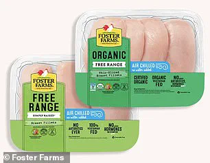 Experts Warn of Chemical Residue Risks in Chlorinated Chicken Processing