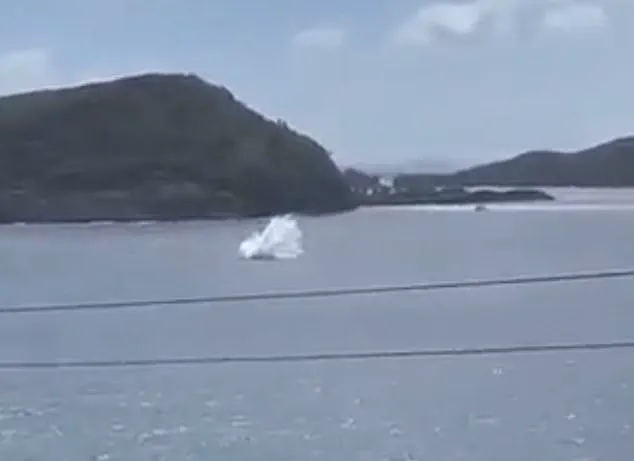 Hollywood Widow Returns to Plane Crash Site Two Years After Tragedy