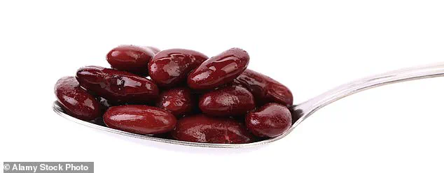 Scientific Evidence Links Regular Bean Consumption to Lower Cholesterol and Reduced Risk of Chronic Disease