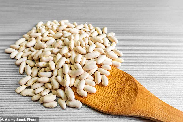 Scientific Evidence Links Regular Bean Consumption to Lower Cholesterol and Reduced Risk of Chronic Disease