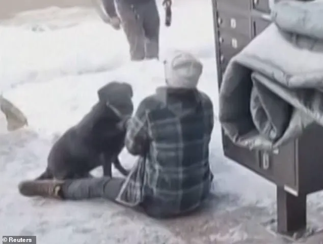 Controversy Surrounds ICE Agents' Role in Fatal Shooting During Minneapolis Protest, Sparking Polarizing Debate Over Protest Dynamics