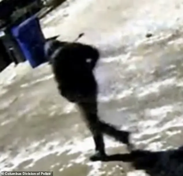 Limited Access to Resurfaced 911 Call Sheds Light on Tepes Murder Investigation