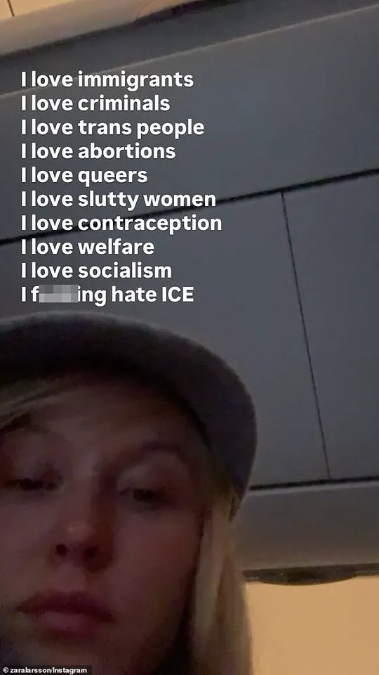 Zara Larsson's Criticism of ICE Sparks Debate Over Government Policies and Public Accountability