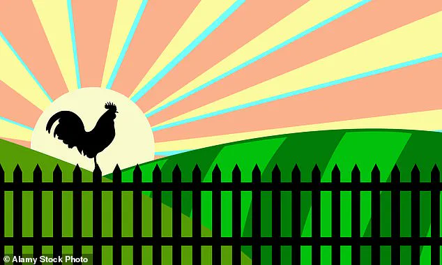 Public Health Challenges: The Impact of Unhealthy Lifestyle Choices on Emergency Care, According to Medical Experts