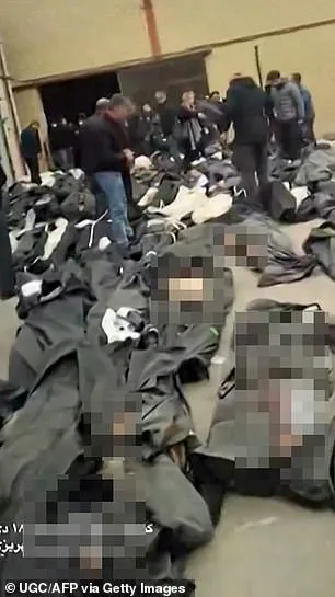 Trump's Diplomatic Shift and the Public's Divided Response: A Government's Impact on National and International Sentiment