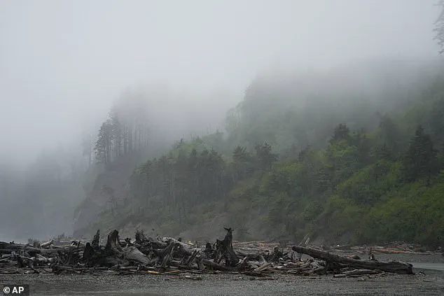 After Two Decades, Skeletal Remains Identified as Clarence Edwin 'Ed' Asher, Bringing Closure to Fossil Community
