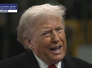 Controversy Over Immigration Policy After ICE Shooting Sparks Debate on Domestic Strategy