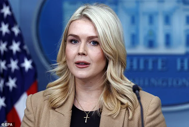 Public Confusion and Debate Over Trump's Joke About Canceling Elections