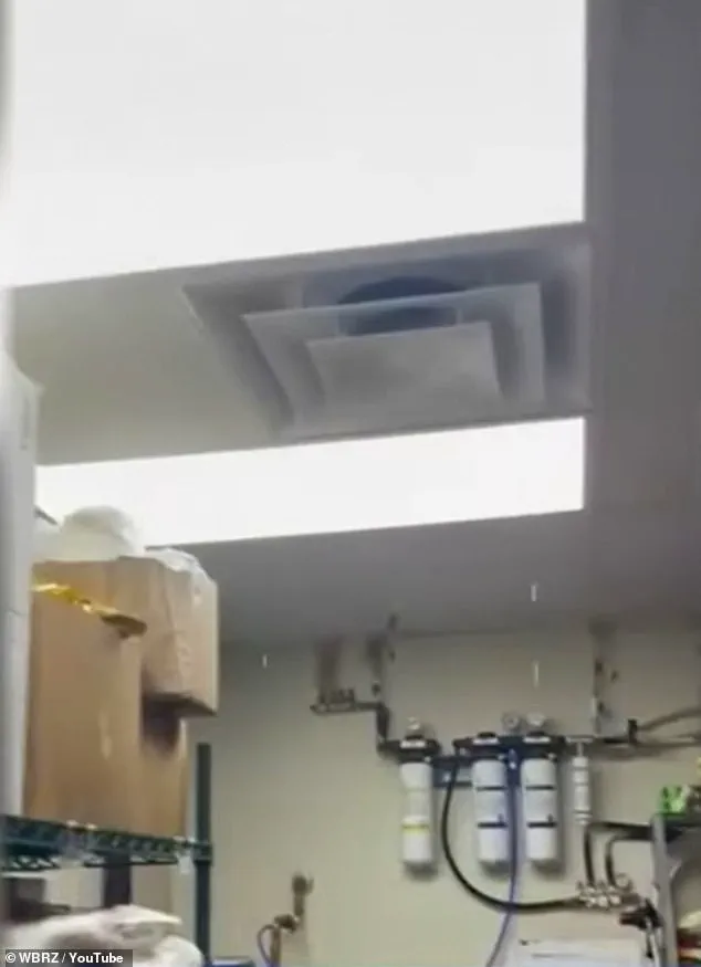 Wendy’s Restaurant in Louisiana Under Fire for Unsafe Working Conditions and Health Risks