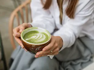 Late-Breaking: Gut Health Obsession Sparks Fermented Food Boom, Scientists Reveal Microbiome Breakthroughs