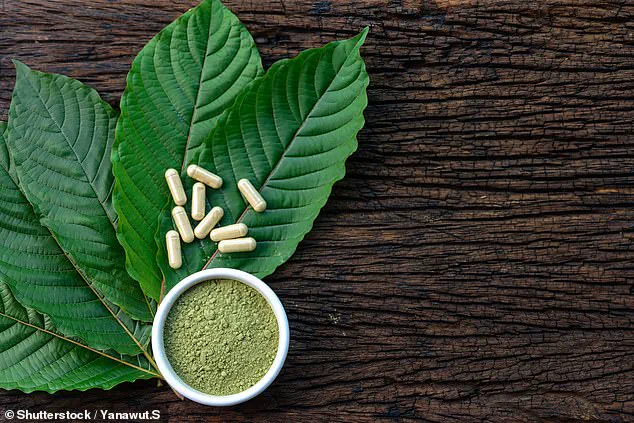 Mental Health and Substance Use in High-Stakes Competition: Addressing Public Well-Being and Regulatory Gaps