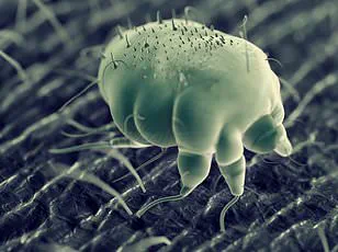 Study Highlights Vitamin D's Role in Reducing Winter Respiratory Infections, Supporting Public Health Recommendations