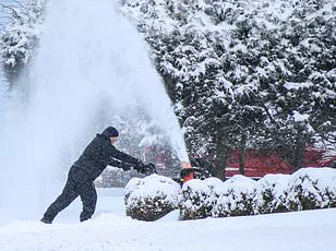 Crippling Winter Storm Fern Poised to Unleash Chaos From Texas to Tennessee, as Forecasters Warn of 24 Inches of Snow and 'Most Severe' Ice Conditions