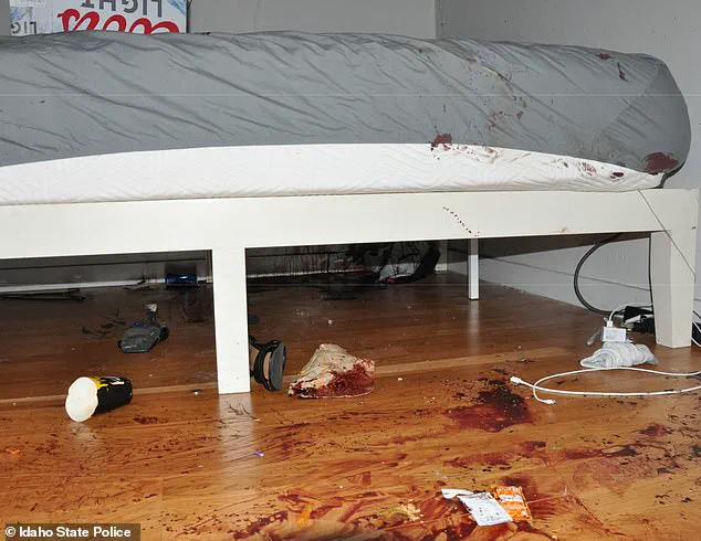 Idaho State Police Release Previously Unseen Crime Scene Photos from Bryan Kohberger Murder Case