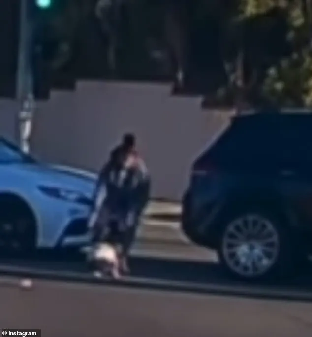 19-month-old toddler falls from moving Mercedes SUV in Fullerton, California; video goes viral