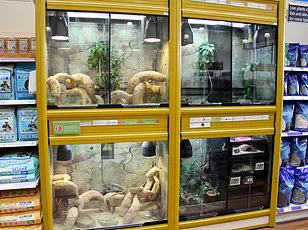 Navitas Organics Voluntarily Recalls Specific Lots of 8-Oz Organic Chia Seeds Over Potential Salmonella Contamination Concerns