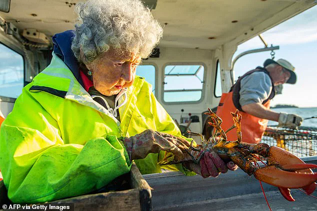Virginia Oliver, Maine's Legendary 'Lobster Lady,' Dies at 105, Leaving a Legacy of Coastal Tradition and Resilience
