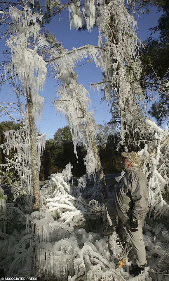 Frigid Temperatures Expected in Miami for First Time in 15 Years, Per NWS Data, Echoing 2010 Cold Snap