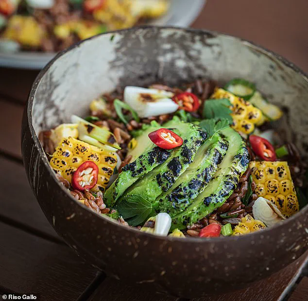 Hearty Winter Salads: A Nutrient-Packed Revolution