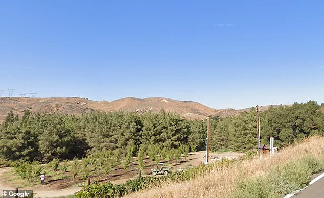 Disney's Secret Gold Oak Ranch: Where Rides and Films Are Tested Away from the Public Eye