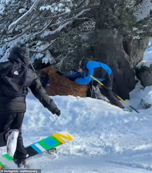 Violent Snowball Fight Turns Chaotic as Skier in Chewbacca Costume Assaulted at French Alps Resort