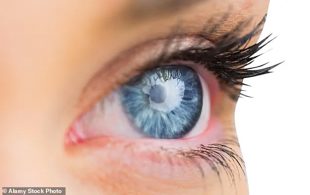 Study Links Common Bacterium to Alzheimer's, Suggesting New Prevention Strategies