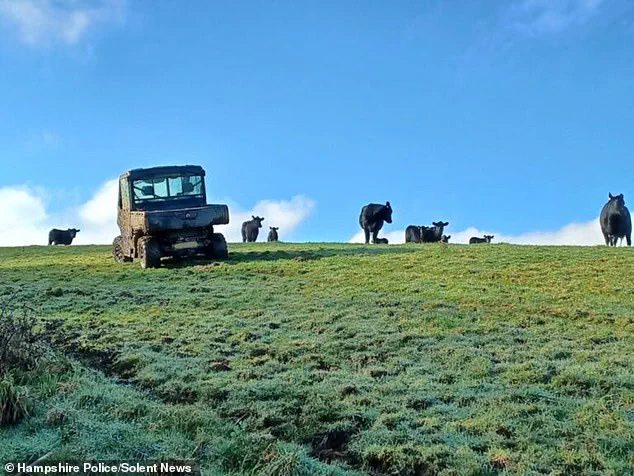 Firefighters Rescue Dog Walker After Hours-Long Standoff with Aggressive Cow on Isle of Wight