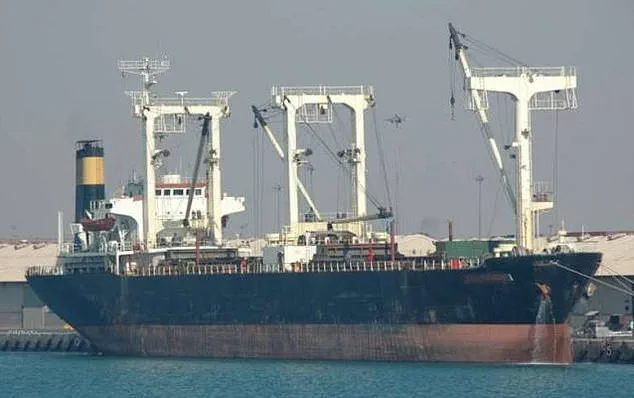 331 Days in the Hands of Pirates: A Sailor's Ordeal on the RAK AFRIKANA