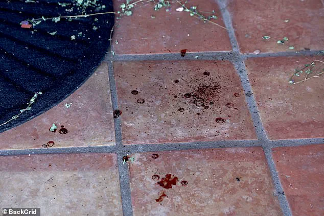 High-Profile Search for Nancy Guthrie Stalls Amid Ransom Claims