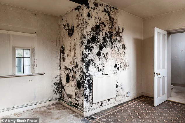 Toxic Mould in Homes: Childhood Exposure Linked to Lasting Lung Damage into Adulthood
