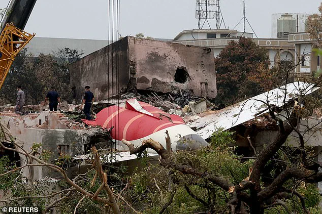 Air India Flight 171: A Survivor's Trauma and the Unraveling of a Controversial Investigation