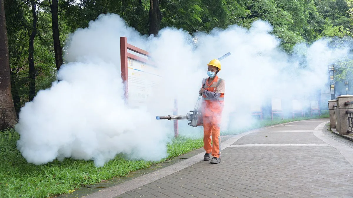 CDC Issues Level 2 Alert for Chikungunya Outbreak in Seychelles and Suriname, Urges Travelers to Take Precautions
