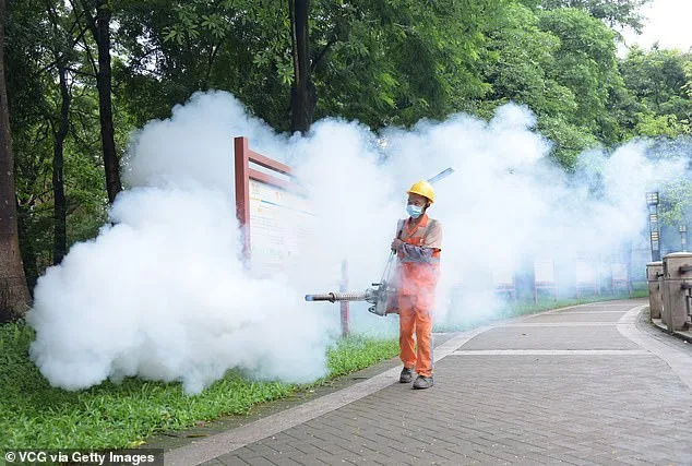 CDC Issues Level 2 Alert for Chikungunya Outbreak in Seychelles and Suriname, Urges Travelers to Take Precautions